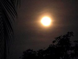 Menatap Pesona Strawberry Moon Akhir Juni 2026: Purnama Apogee yang Istimewa