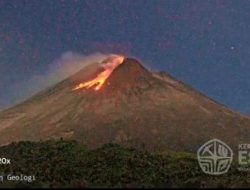 Denyut Magma Merapi: 170 Kali Guguran Lava Tegaskan Status Siaga Level III