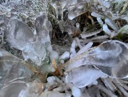 “The Real ‘Eropa di Jantung Jawa’: Dieng Membeku -5°C, Rumput Berubah Jadi Kristal Es!”