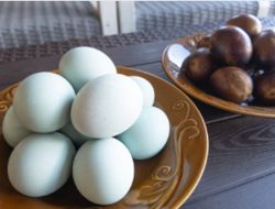 Rahasianya Terbongkar! Ternyata Ini yang Bikin Telur Asin Brebes Punya Rasa Gurih ‘Masir’ yang Tiada Dua