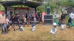 Semarak HUT RI ke 81 di Desa Tirto: Sinergi Karang Taruna, PPK Ormawa BEM FE dan Sustainova BEM FE Untidar Hadirkan Keseruan Lomba Agustusan