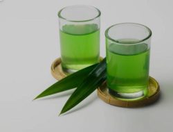 Bukan Cuma Pewangi Nasi! Ini 5 Manfaat Ajaib Daun Pandan untuk Kesehatan