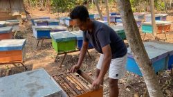 Tiga Dekade Menjaga Kemurnian Nektar, Madu “Akeh Guno” Asal Batang Kian Diminati Pembeli Luar Pulau