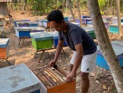 Tiga Dekade Menjaga Kemurnian Nektar, Madu “Akeh Guno” Asal Batang Kian Diminati Pembeli Luar Pulau