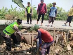 Tangisan Mungil di Kebun Pisang Gegerkan Warga Kudus, Bayi Malang Ditemukan Bertahan Hidup